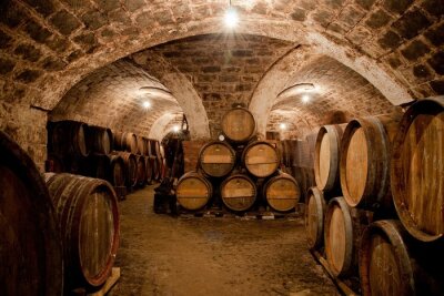 Barils dans une cave à vin hongrois