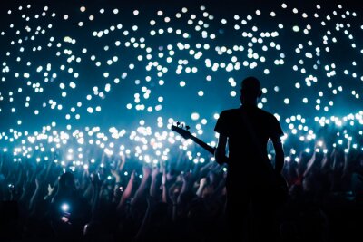 Poster  Bass guitarist plays to the crowd of big stadium with flashing lights of their cellphones switched on during the ballad song 