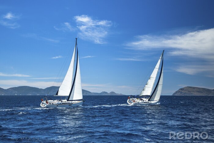 Poster  Bateaux à voile de luxe blancs
