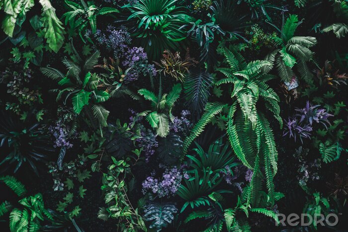 Poster  Beau fond de nature de jardin vertical