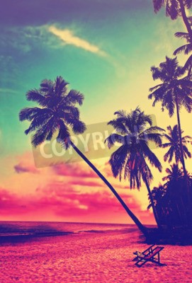 Poster  Beau, tropical, plage, silhouettes, paume, Arbres, Coucher soleil