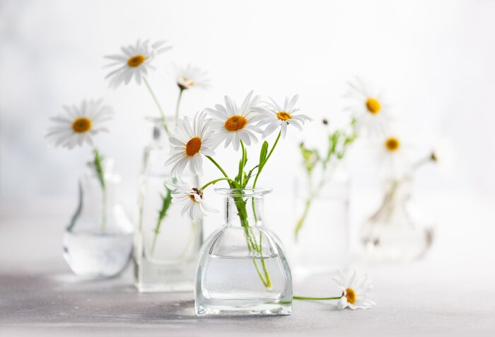 Poster  Beautiful daisy flowers in glass vases on light background. Floral composition in home interior.