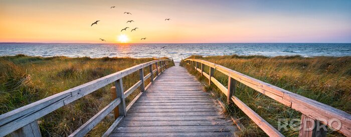 Poster  Beautiful dunes beach at sunset, North Sea, Germany