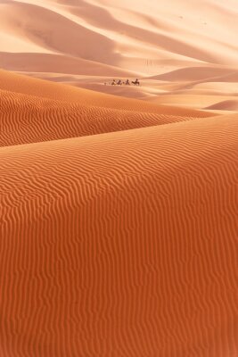 Poster  Beautiful sand dunes in the Sahara desert.