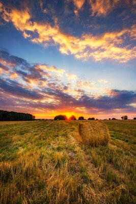 Poster  Beautiful summer sunrise over fields with hay bales