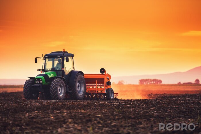 Poster  Beautiful sunset, farmer in tractor preparing land with seedbed cultivator