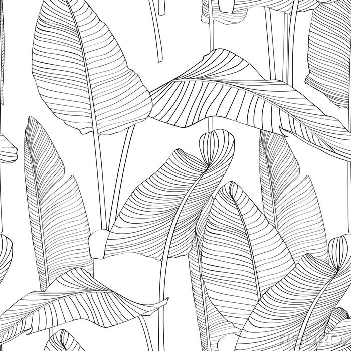 Poster  Belle feuille d'arbre feuille Silhouette Seamless Pattern Background Illustration EPS10. Lignes noires sur fond blanc.