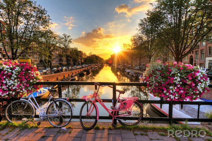 Poster  Belle lever de soleil sur Amsterdam, Pays-Bas, avec des fleurs et des vélos sur le pont au printemps