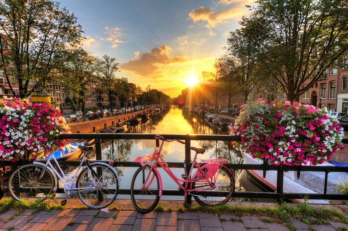 Poster  Belle lever de soleil sur Amsterdam, Pays-Bas, avec des fleurs et des vélos sur le pont au printemps