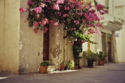 Belles fleurs roses au-dessus de la porte