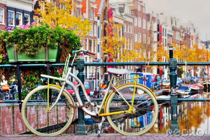 Poster  Bicyclette jaune sur le pont