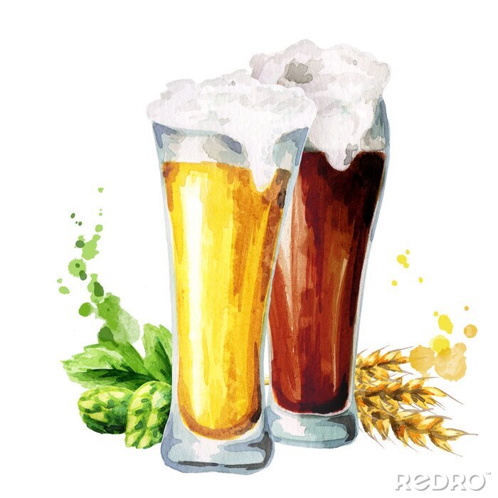 Poster  Bière foncée et légère, houblon et malt. Aquarelle