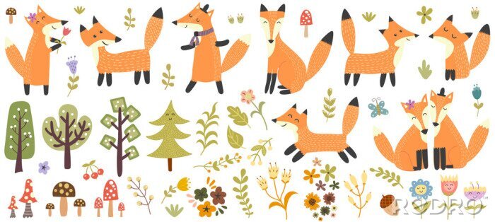 Poster  Big set of cute foxes, trees and plants. Forest elements collection