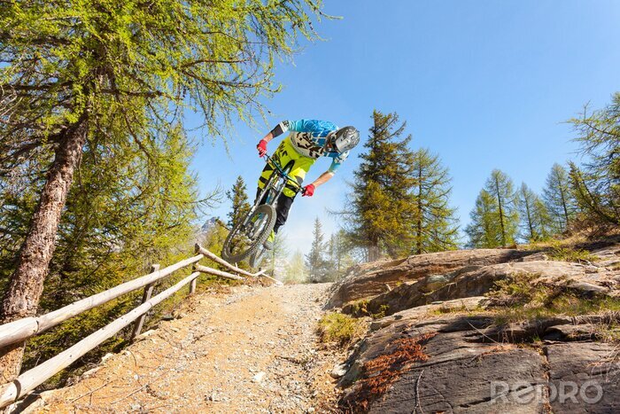 Poster  biker vtt en descente