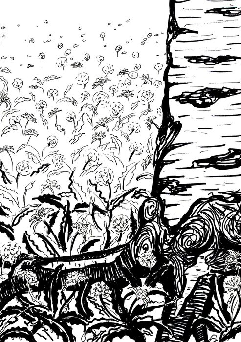 Poster  Bosquet de bouleaux dans un style de croquis