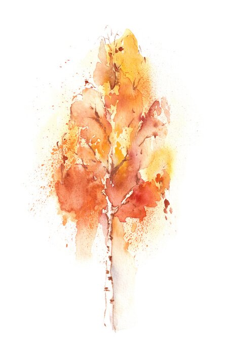 Poster  Bouleaux au milieu de la verdure estivale