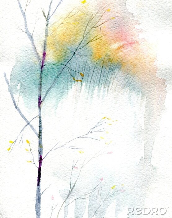 Poster  Bouleaux de printemps sur fond blanc