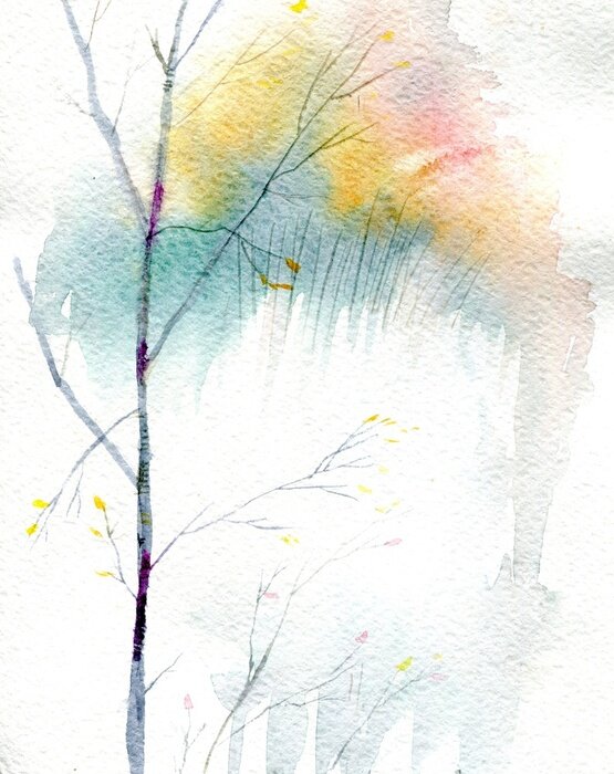 Poster  Bouleaux de printemps sur fond blanc