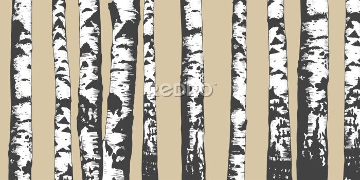 Poster  Bouleaux sur fond beige