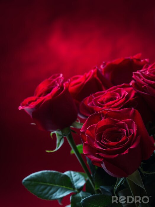 Poster  Bouquet de fleurs décor bordeaux