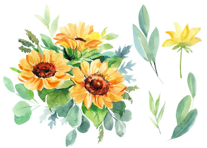 Poster  Bouquet de tournesols aquarelle parmi les feuilles