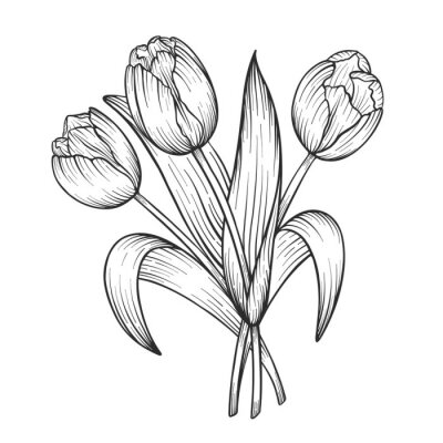 Poster  Bouquet de tulipes monochromes