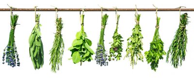 Papier peint  Bouquets d'herbes aromatiques séchées