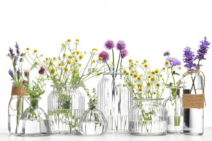 Poster  Bouteille d'huile essentielle avec des herbes