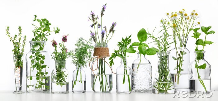 Poster  Bouteille d'huile essentielle avec des herbes