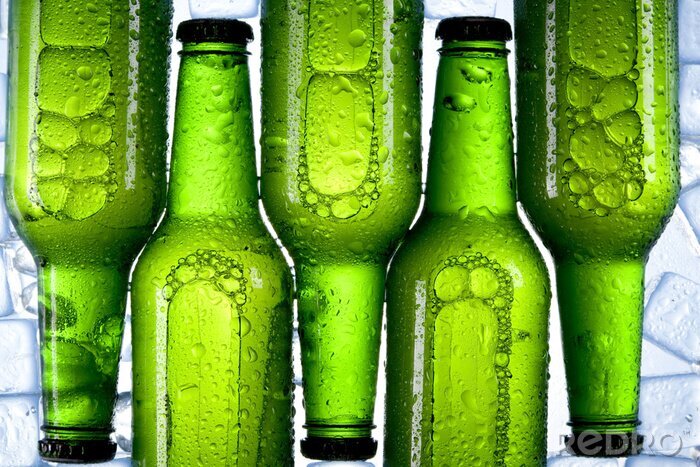 Poster  Bouteilles de bière vertes congelées