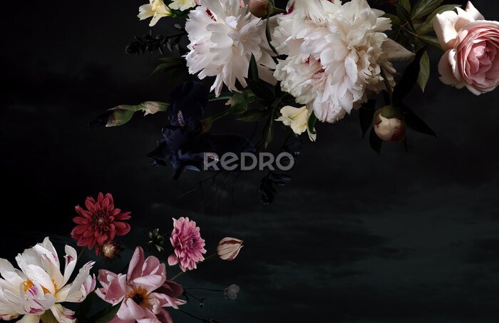 Poster  Boutons de fleurs luxuriants sur fond sombre