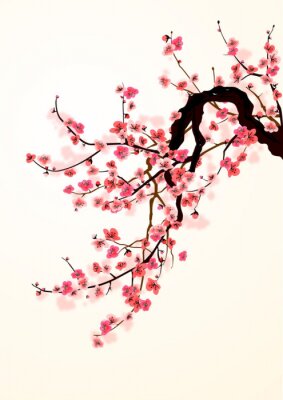 Poster  Br branche de cerisier japonais en fleurs