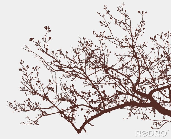Poster  Branches d'un arbre à fleurs