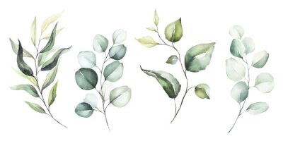 Branches de plantes à feuilles vertes sur fond blanc