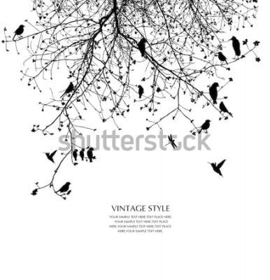 Poster  Branches et oiseaux en noir