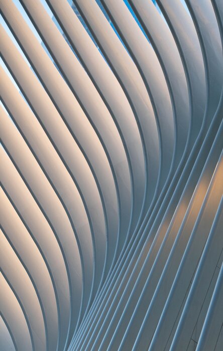 Poster  Bright Urban Organic Abstract Architectural Texture