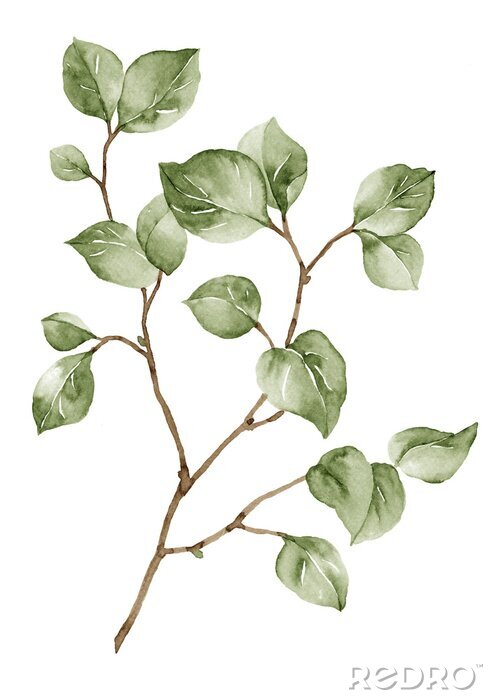 Poster  Brindille aquarelle avec des feuilles vertes