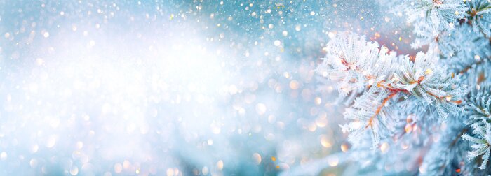 Poster  Brindille d'hiver couverte de givre