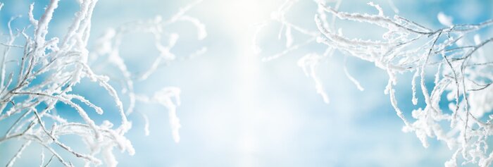 Poster  Brindilles givrées contre le ciel bleu