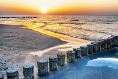 Brise-lames en bois au bord de la mer