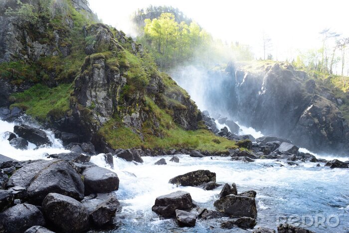 Poster  Brume de cascade et verdure