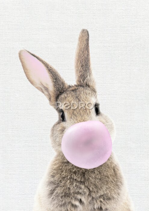 Poster  Bunny Rabbit on white textured Background with pink Balloon
