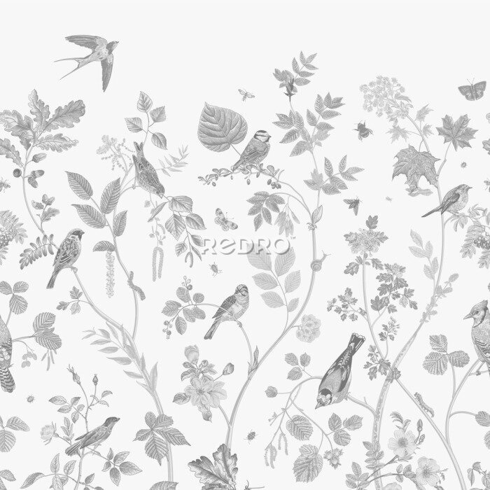 Poster  Cachette des moineaux