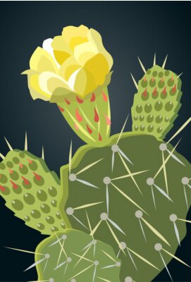 Poster  Cactus à fleur jaune et épines rouges