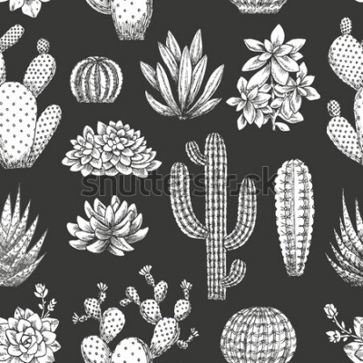 Poster  Cactus de dessin animé sur un fond sombre
