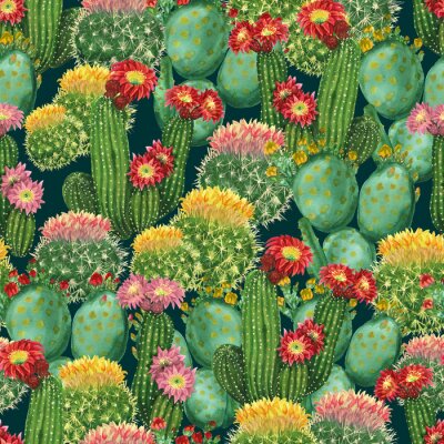 Poster  Cactus en fleurs