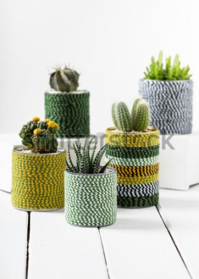 Poster  Cactus en pots décoratifs