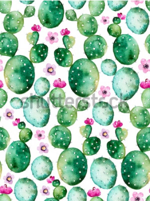 Poster  Cactus rose en fleurs