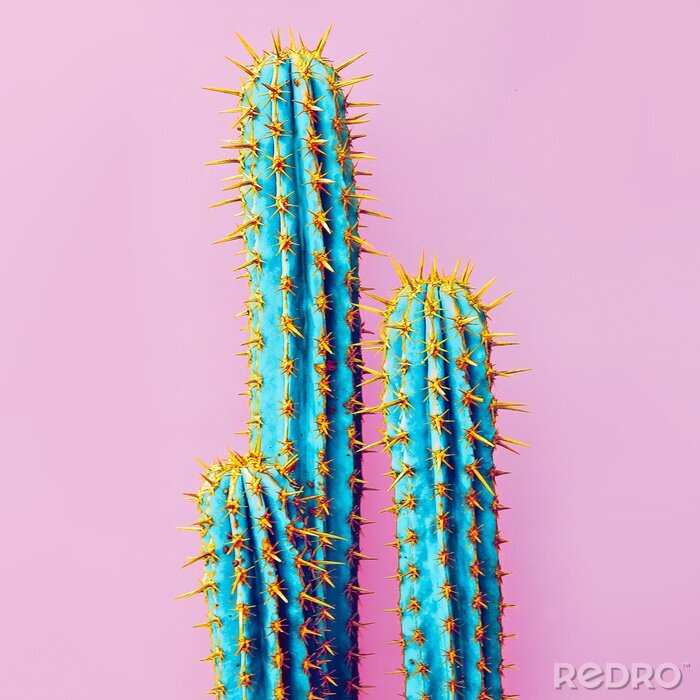 Poster  Cactus sur un fond rose