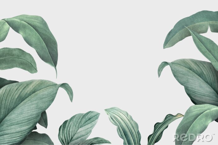 Poster  Cadre de plantes aquarelles